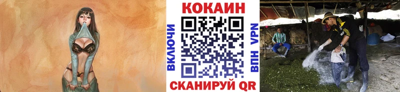 наркотики  Вуктыл  COCAIN 98% 