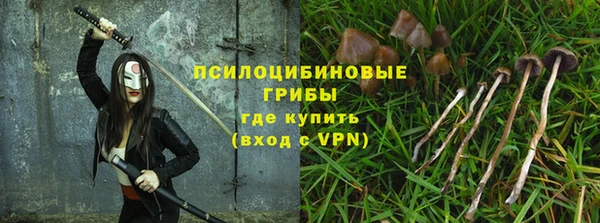 сатива Балахна