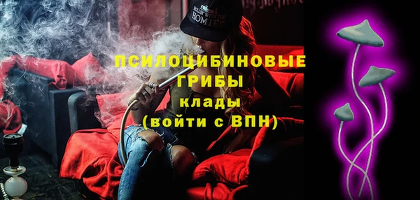сатива Балахна